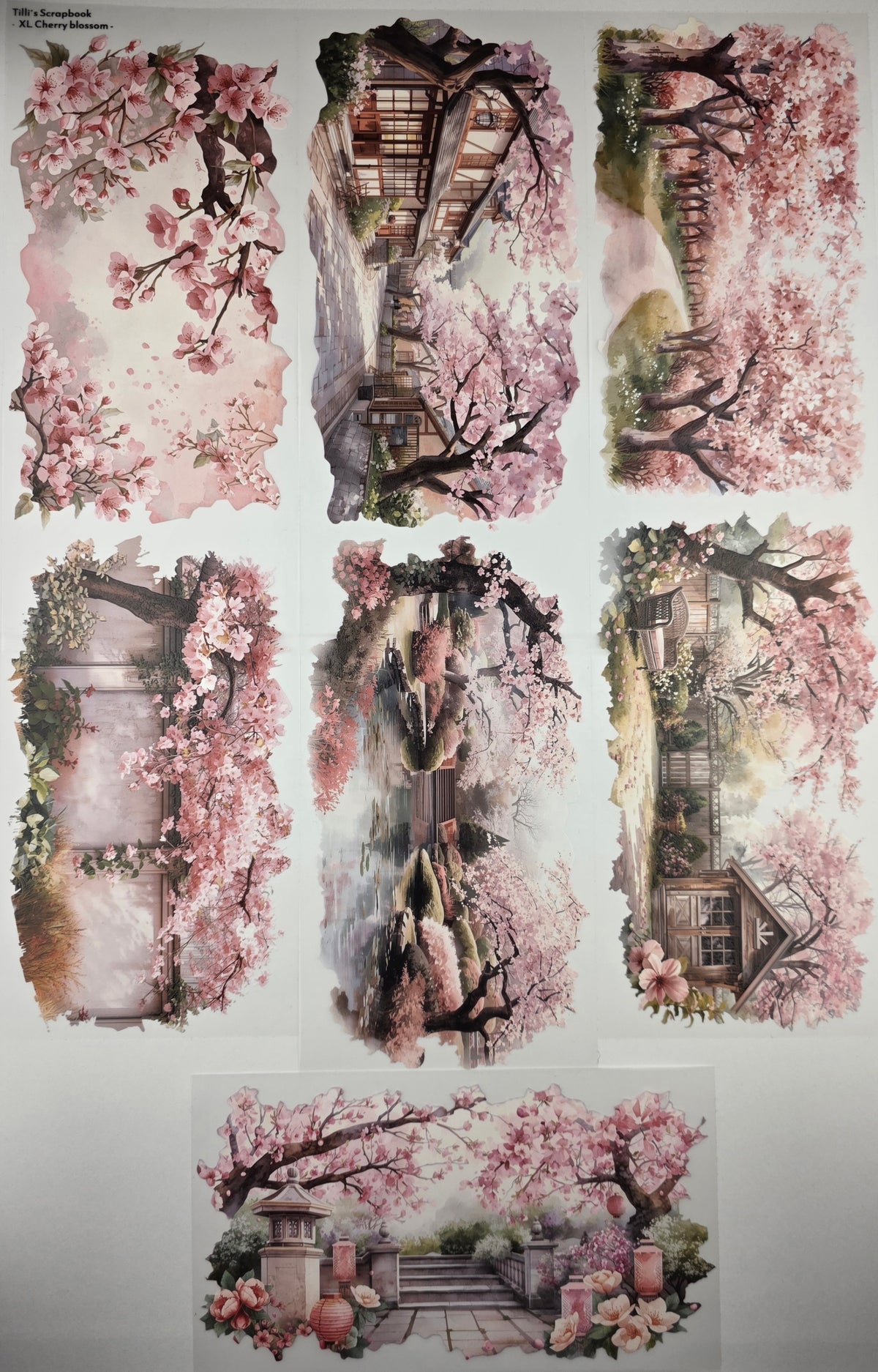 XL PET Tape 3D Stickerband Cherry Blossom 12cm x 1,50m