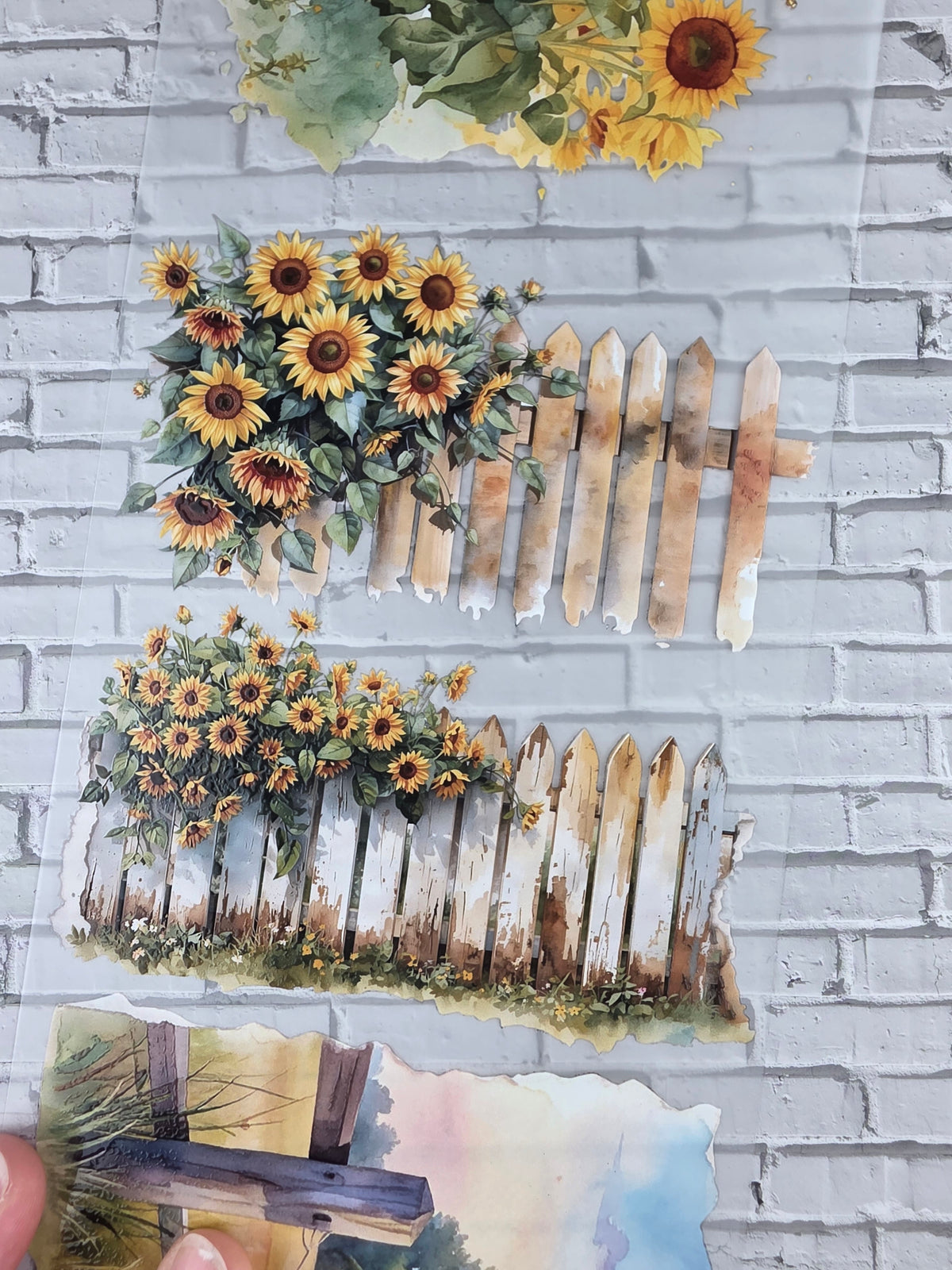PET Tape XL 3D Stickerband Sunflower backgrounds 12cm x 1,50m
