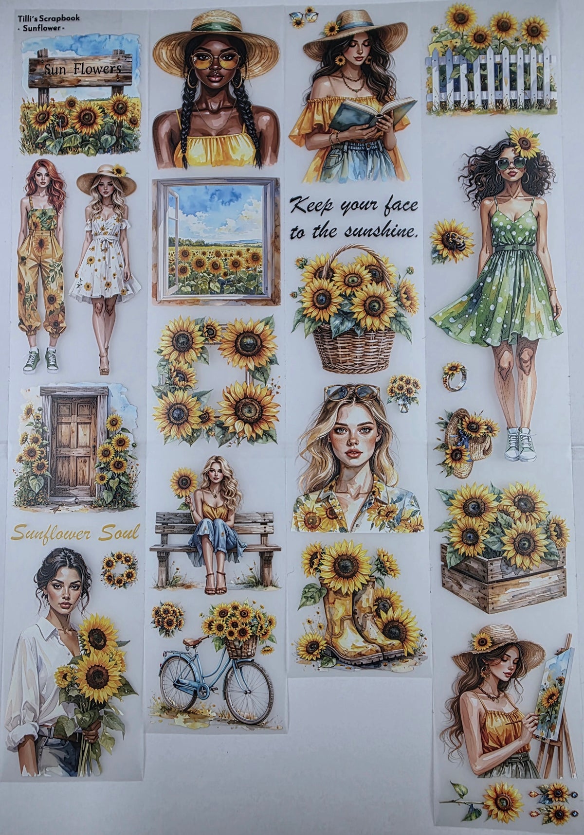 PET Tape 3D Stickerband Sunflower 7cm x 1,50m