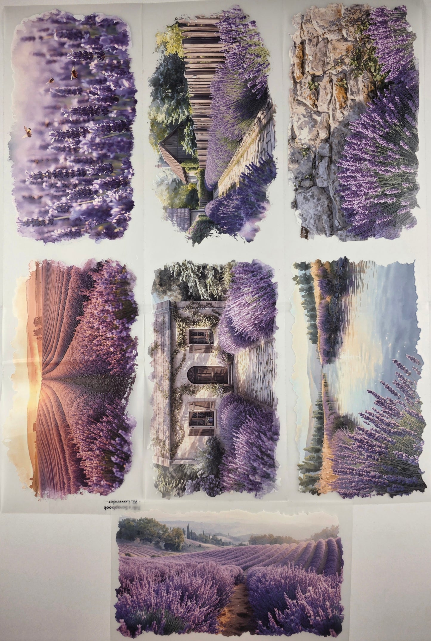 PET Tape XL 3D Stickerband Lavender 12cm x 1,50m