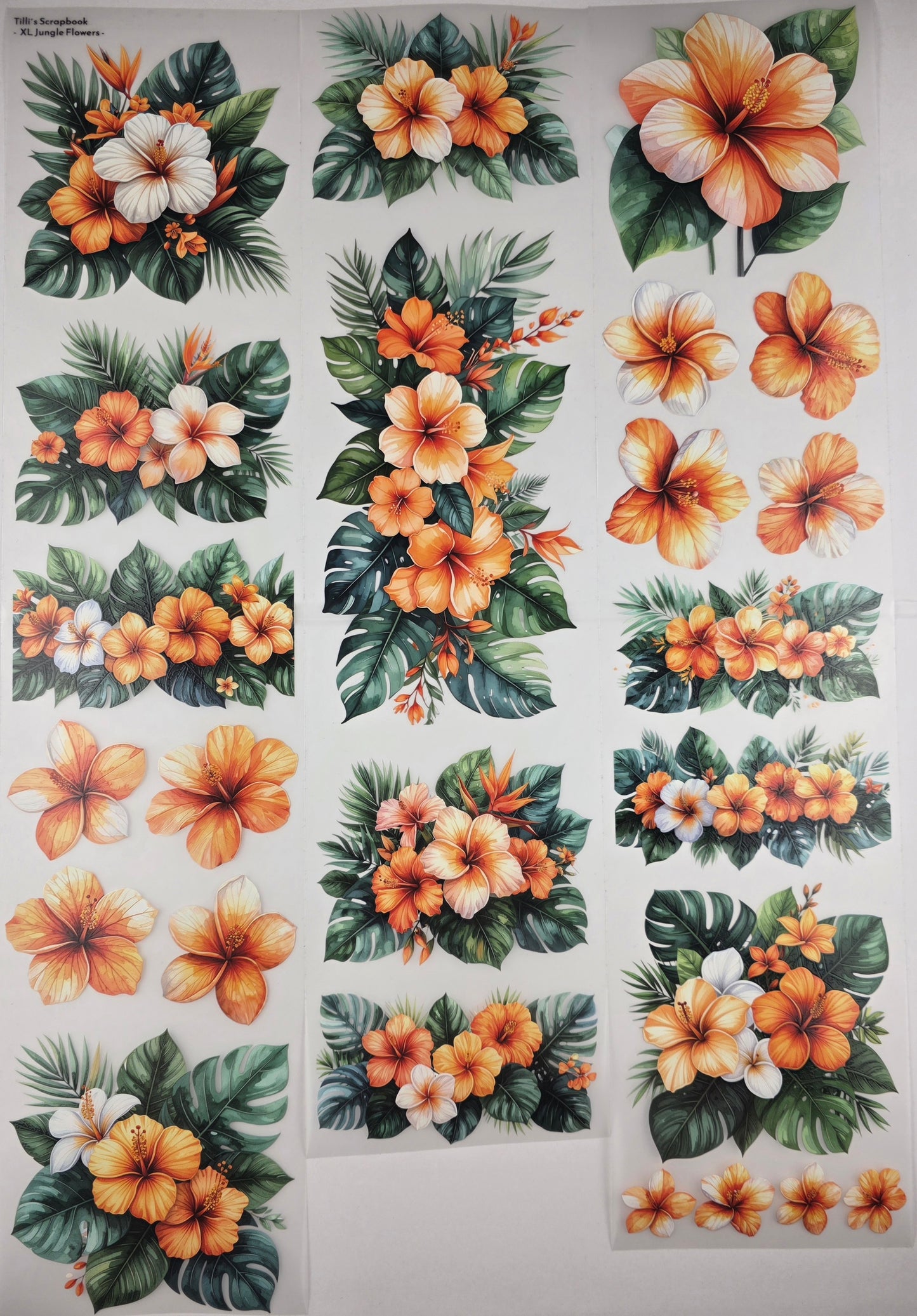 PET Tape XL 3D Stickerband Jungle flowers 12cm x 1,50m