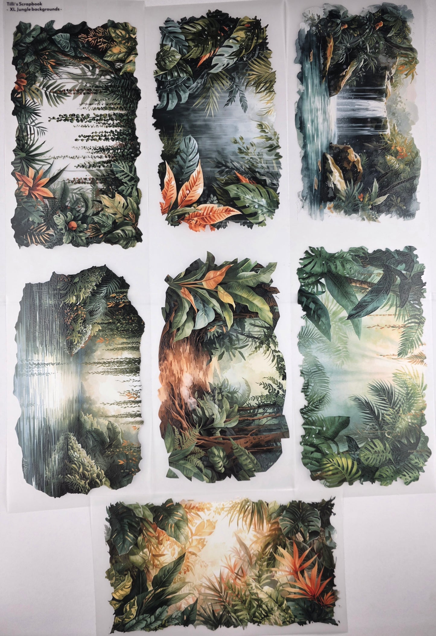 PET Tape XL 3D Stickerband Jungle backgrounds 12cm x 1,50m