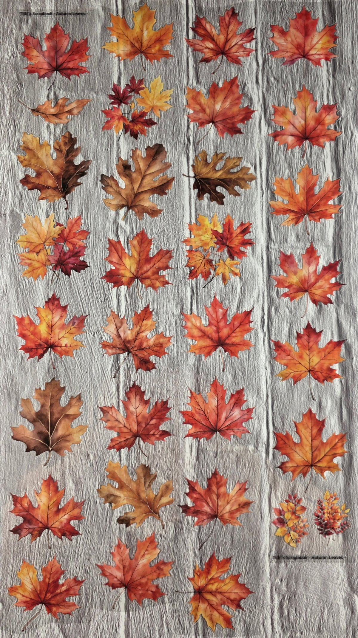 PET Tape clear PRE-CUT 3D Stickerband Autumn Leaves 7cm x 2,00m