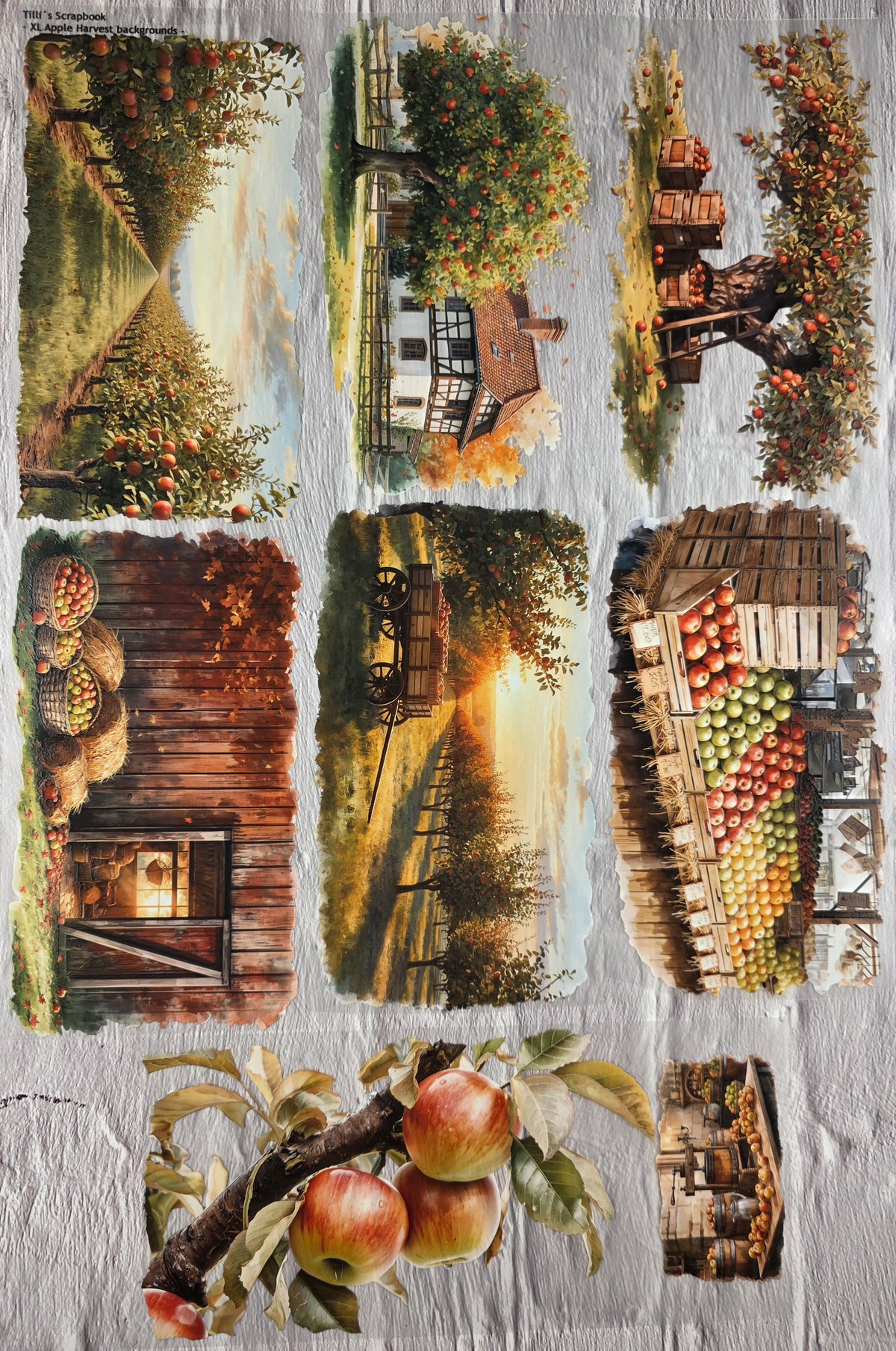 XL PET Tape matt 3D Stickerband Apple Harvest backgrounds 12cm x 1,50m