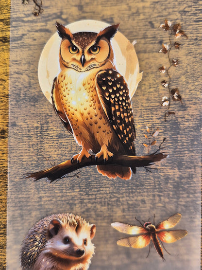 PET Tape Stickerband Zauberwald / Magical Forest 7cm x 1,50m