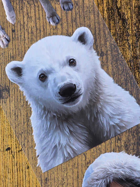 PET Tape Stickerband 3er Set Winter Bundle