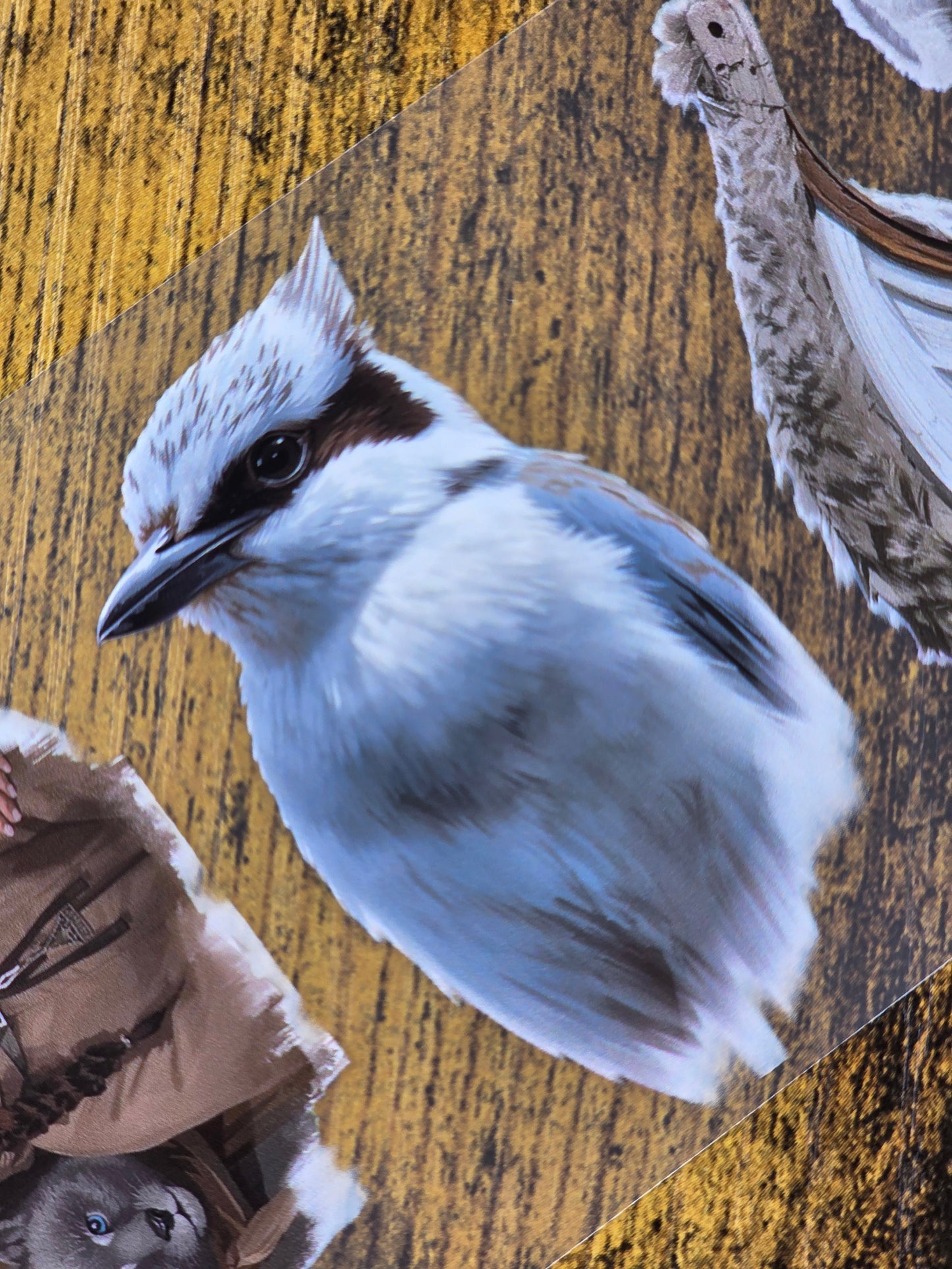 PET Tape Stickerband 3er Set Winter Bundle