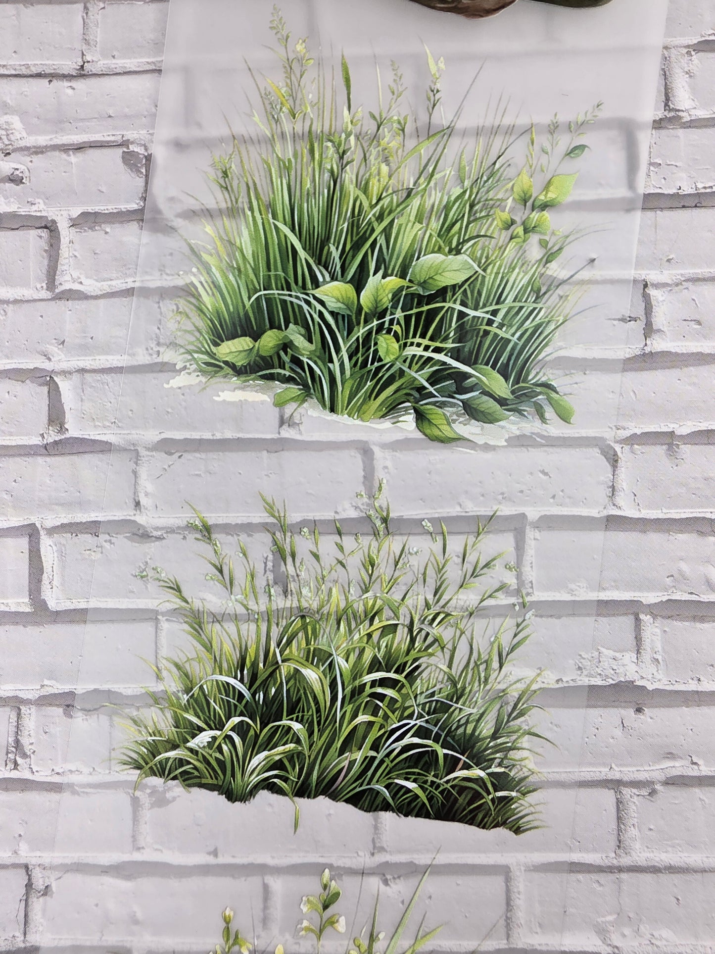 PET Tape Stickerband Grass 7cm x 1,50m