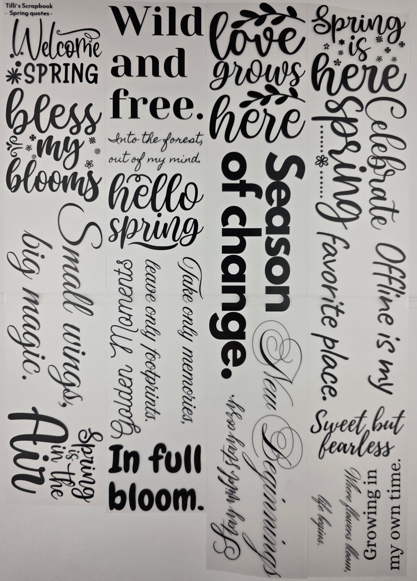 PET Tape Stickerband Spring quotes 7cm x 1,50m