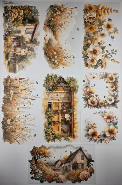 PET Tape 5er Set XL Stickerbänder Bundle 12cm x 1,50m -Kollektion Februar 2026-