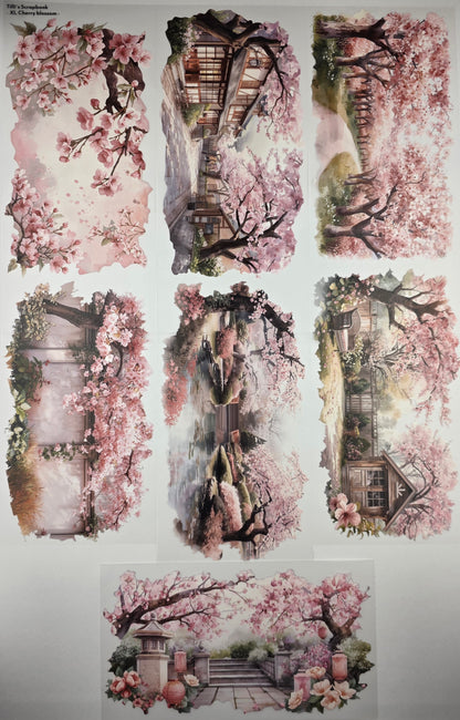 PET Tape 5er Set XL Stickerbänder Bundle 12cm x 1,50m -Kollektion Februar 2026-