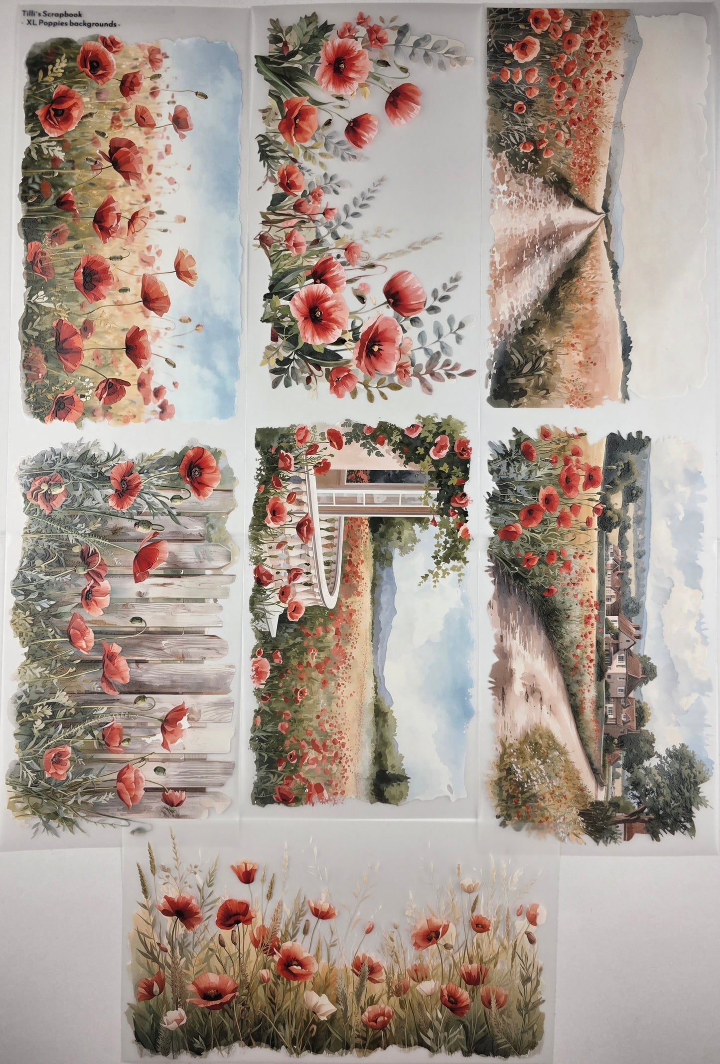 PET Tape XL 3D Stickerband Poppies backgrounds 12cm x 1,50m
