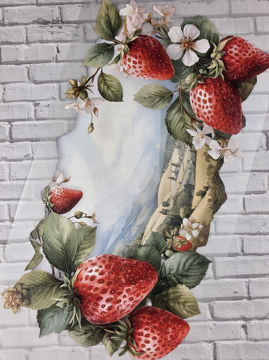 PET Tape XL 3D Stickerband Strawberry backgrounds 12cm x 1,50m