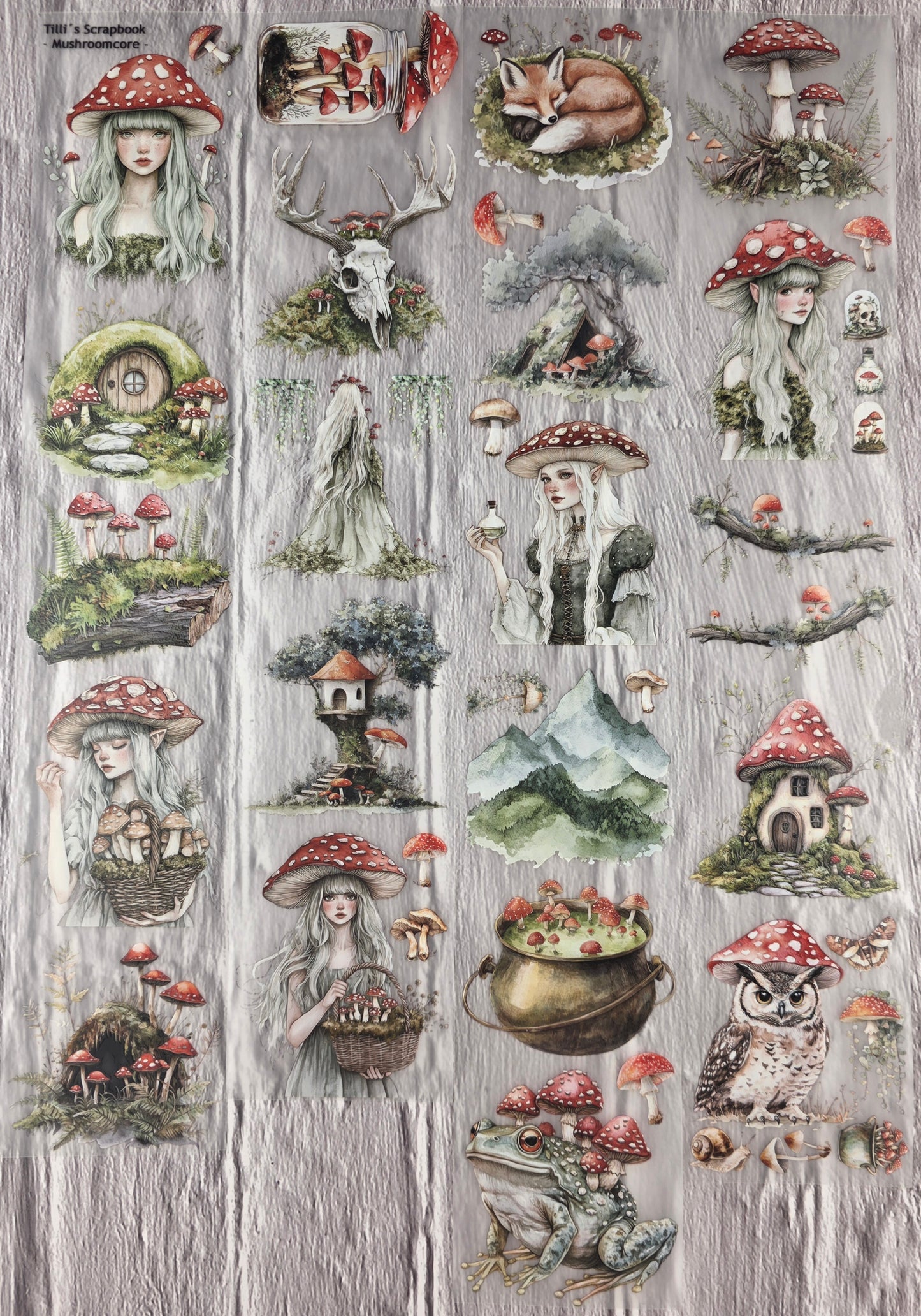 PET Tape 3D Stickerband Mushroomcore 7cm x 1,50m