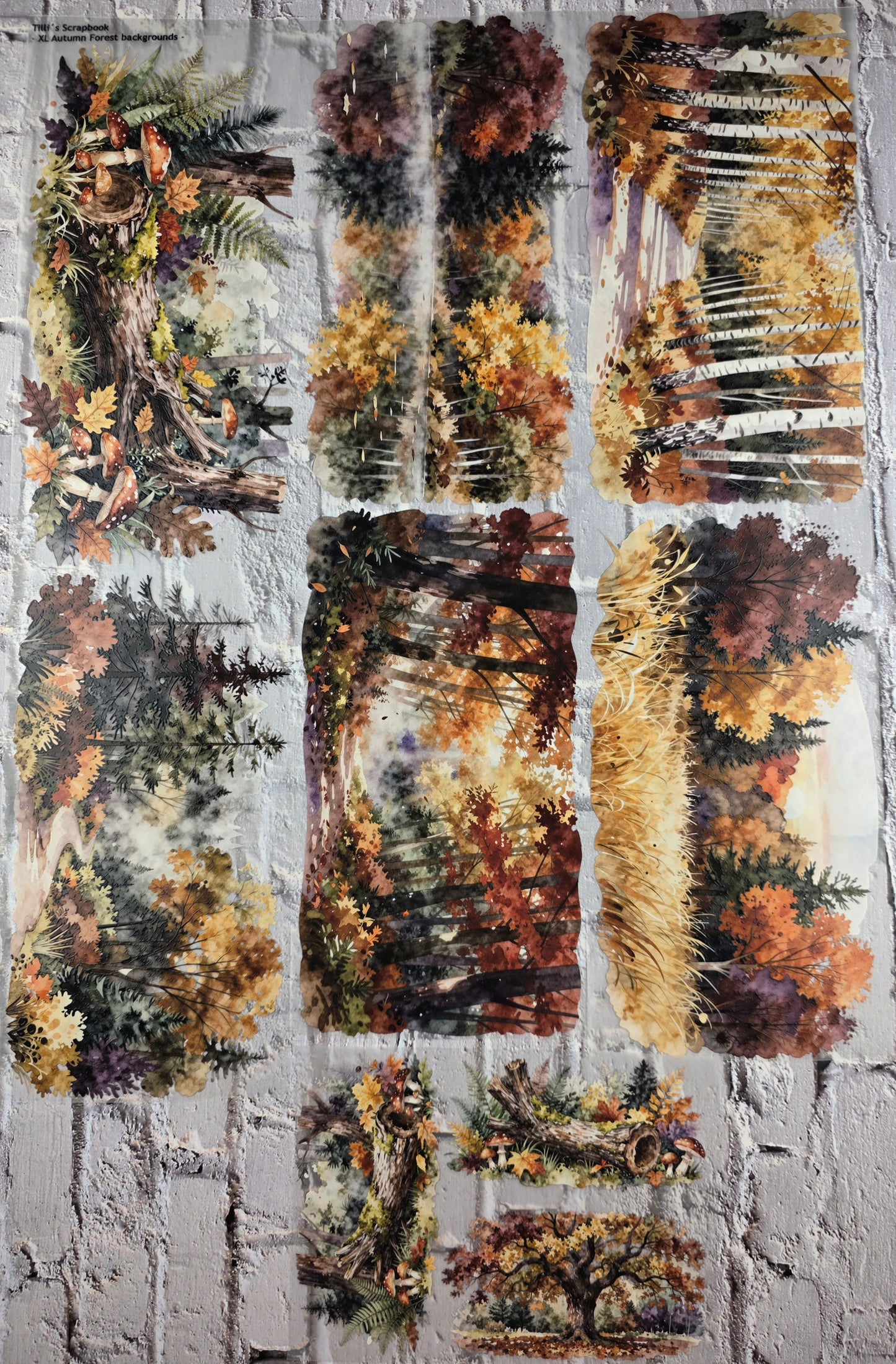 PET Tape XL 3D Stickerband Autumn Forest backgrounds 12cm x 1,50m