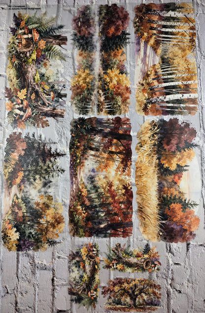 PET Tape XL 3D Stickerband Autumn Forest backgrounds 12cm x 1,50m