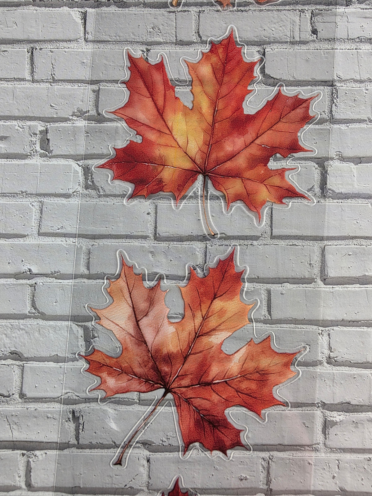 PET Tape clear PRE-CUT 3D Stickerband Autumn Leaves 7cm x 2,00m