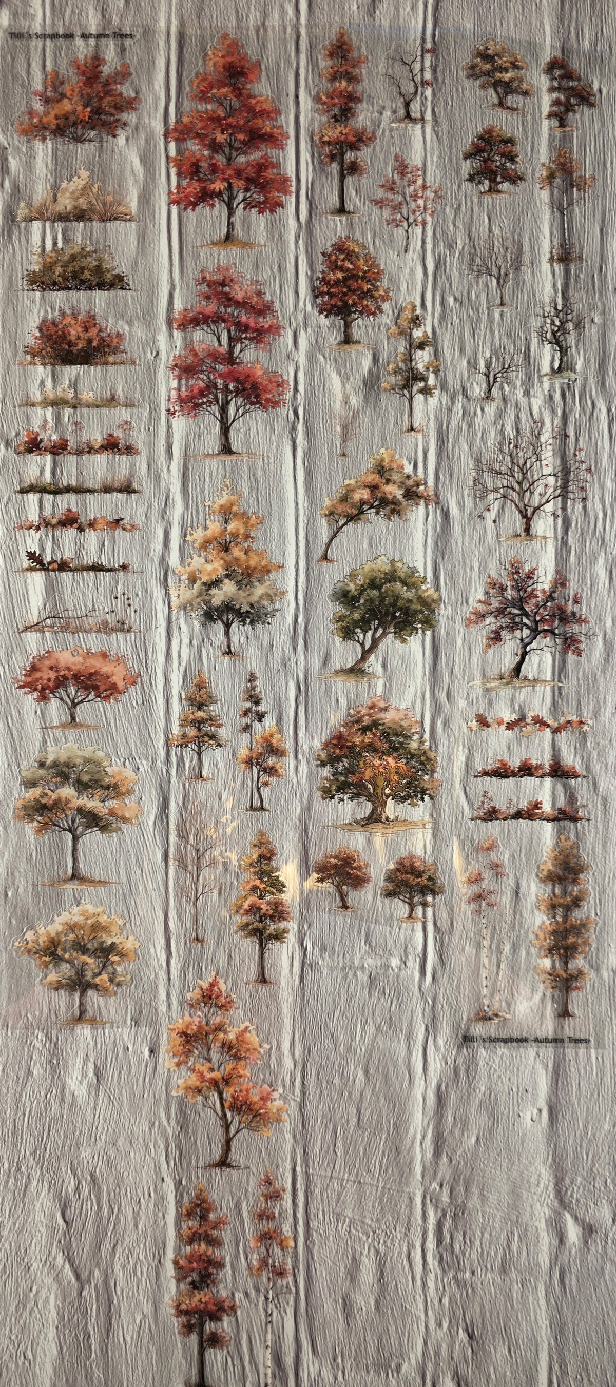 PET Tape clear PRE-CUT 3D Stickerband Autumn Trees 7cm x 2,00m