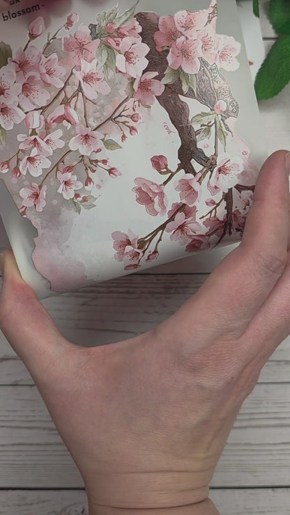 PET Tape 3er Set 3D XL Stickerbänder Bundle 12cm x 1,50m -Kollektion Februar 2026-