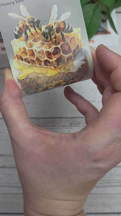 PET Tape 3D Stickerband Honey Bee 7cm x 1,50m